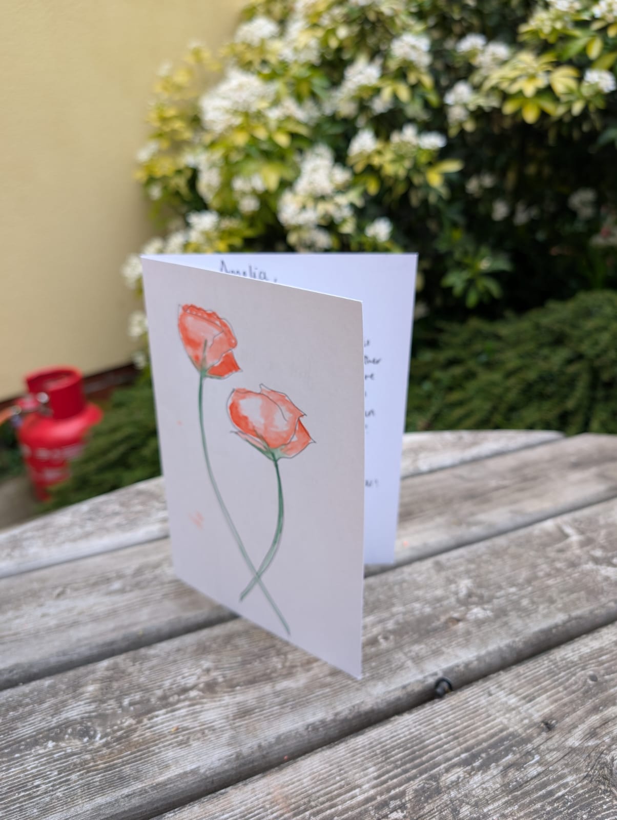 Nudie Gift Card