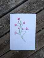 Nudie Gift Card