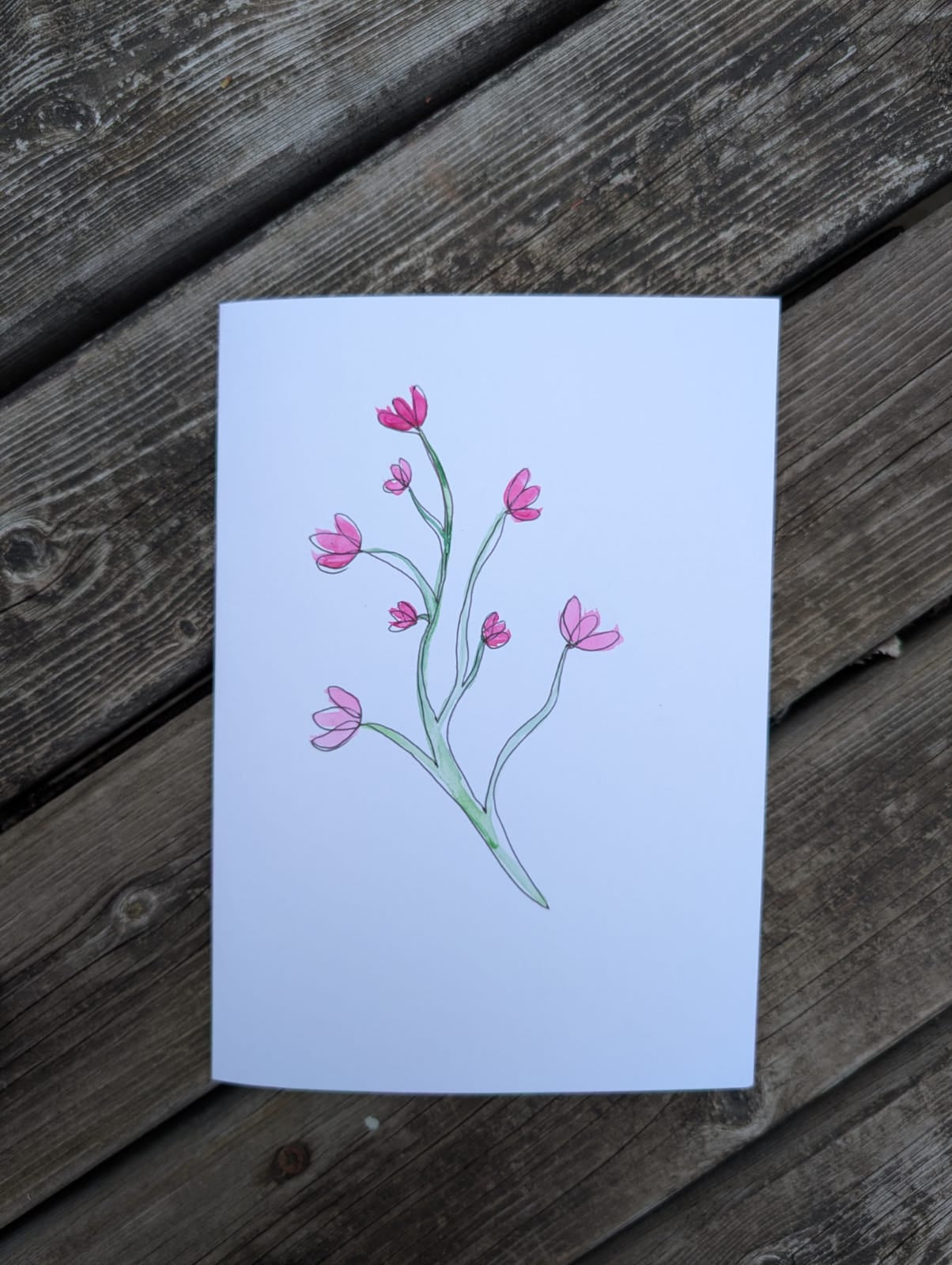 Nudie Gift Card