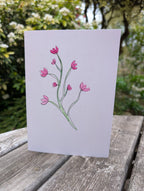 Nudie Gift Card