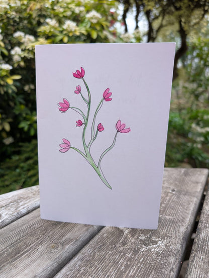 Nudie Gift Card